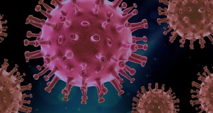 Pelotas tem quatro casos de infecção pela variante Ômicron