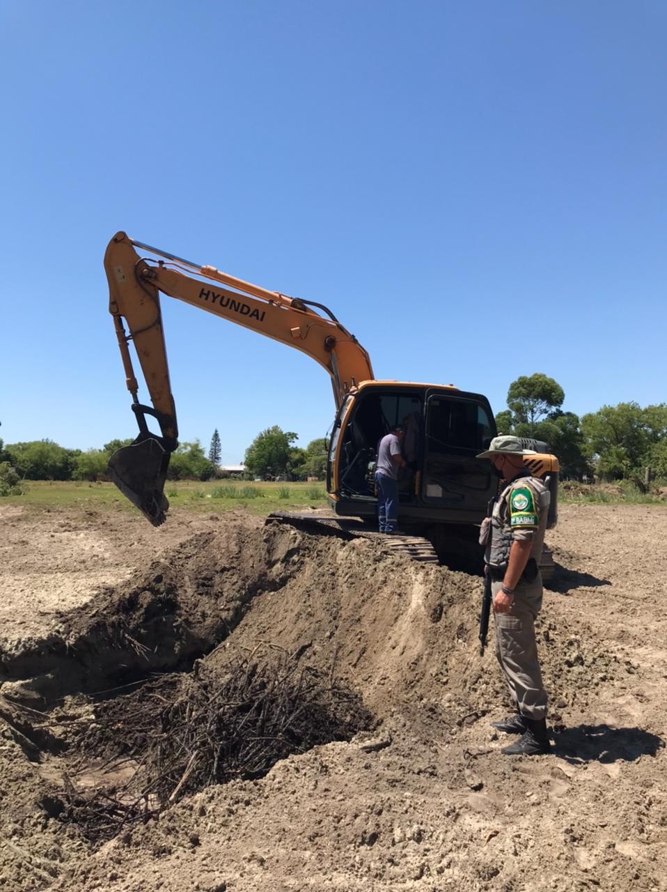 Crime de desmatamento é flagrado em área de preservação permanente do Bolaxa, em Rio Grande