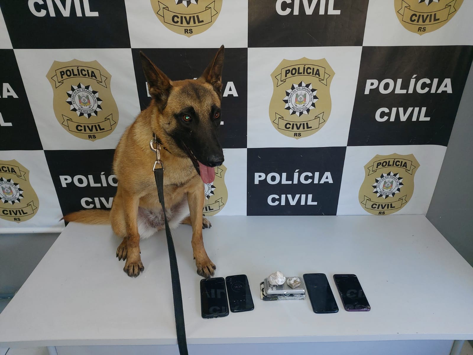 Polícia Civil cumpre mandado de busca e apreensão e prende traficante 