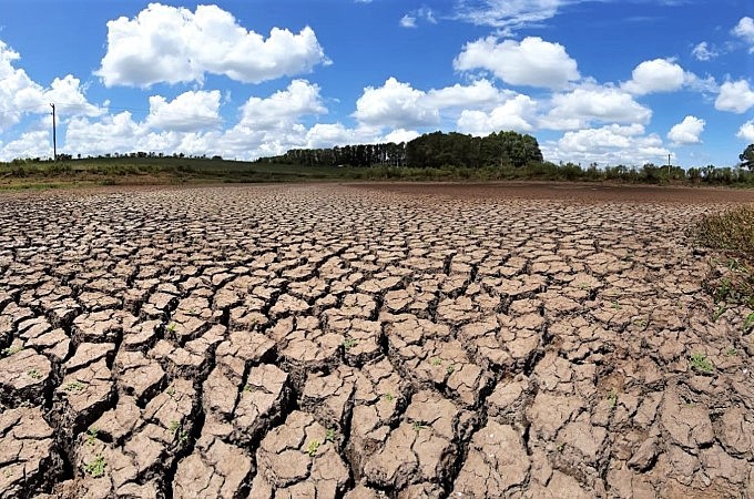 Ministra da Agricultura garante créditos emergenciais devido a estiagem no RS