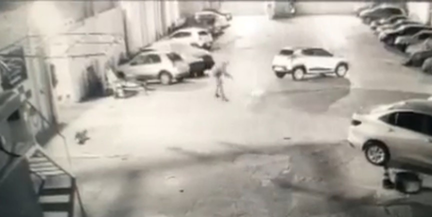 VÍDEO: Cachorro é morto a pauladas em garagem coletiva de Rio Grande 