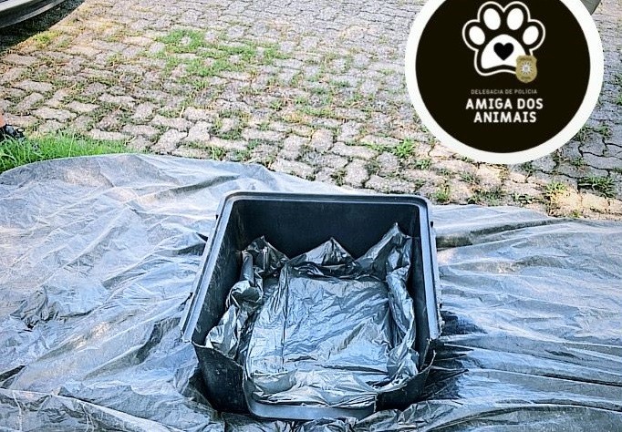 Caso 'Costela': Rio Grande faz a primeira exumação animal para fins criminais da sua história