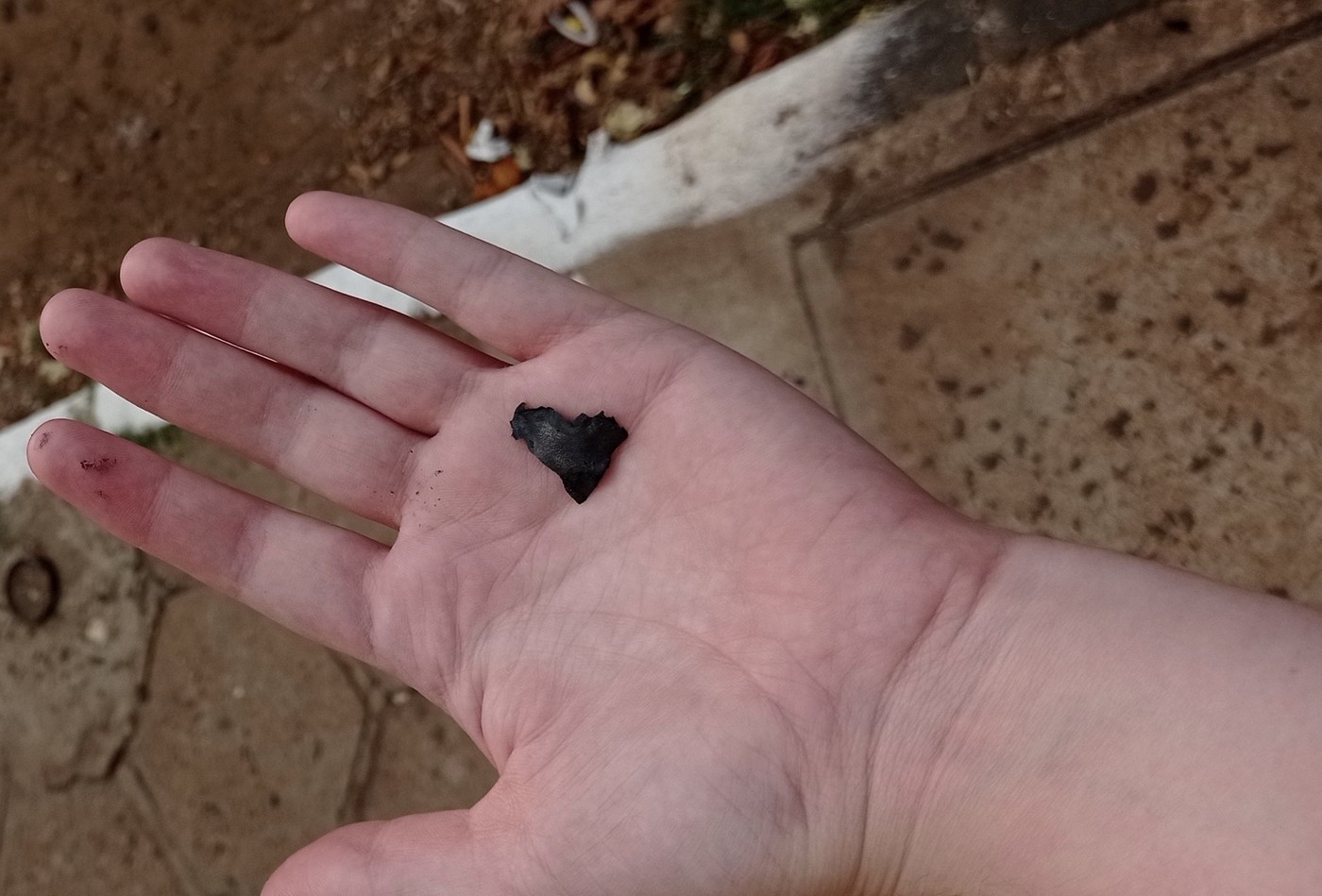 Queimadas na Argentina provocam chuva de fuligem em São Borja (RS)