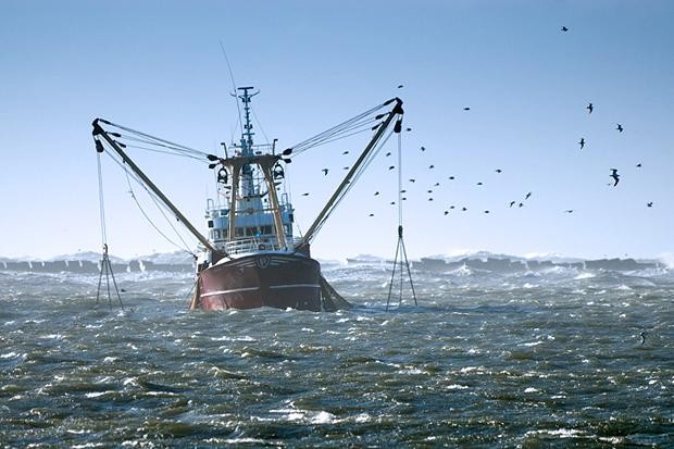 Está valendo a portaria que autoriza a pesca de arrasto a partir de 3 milhas náuticas; entenda os impactos para os pescadores artesanais