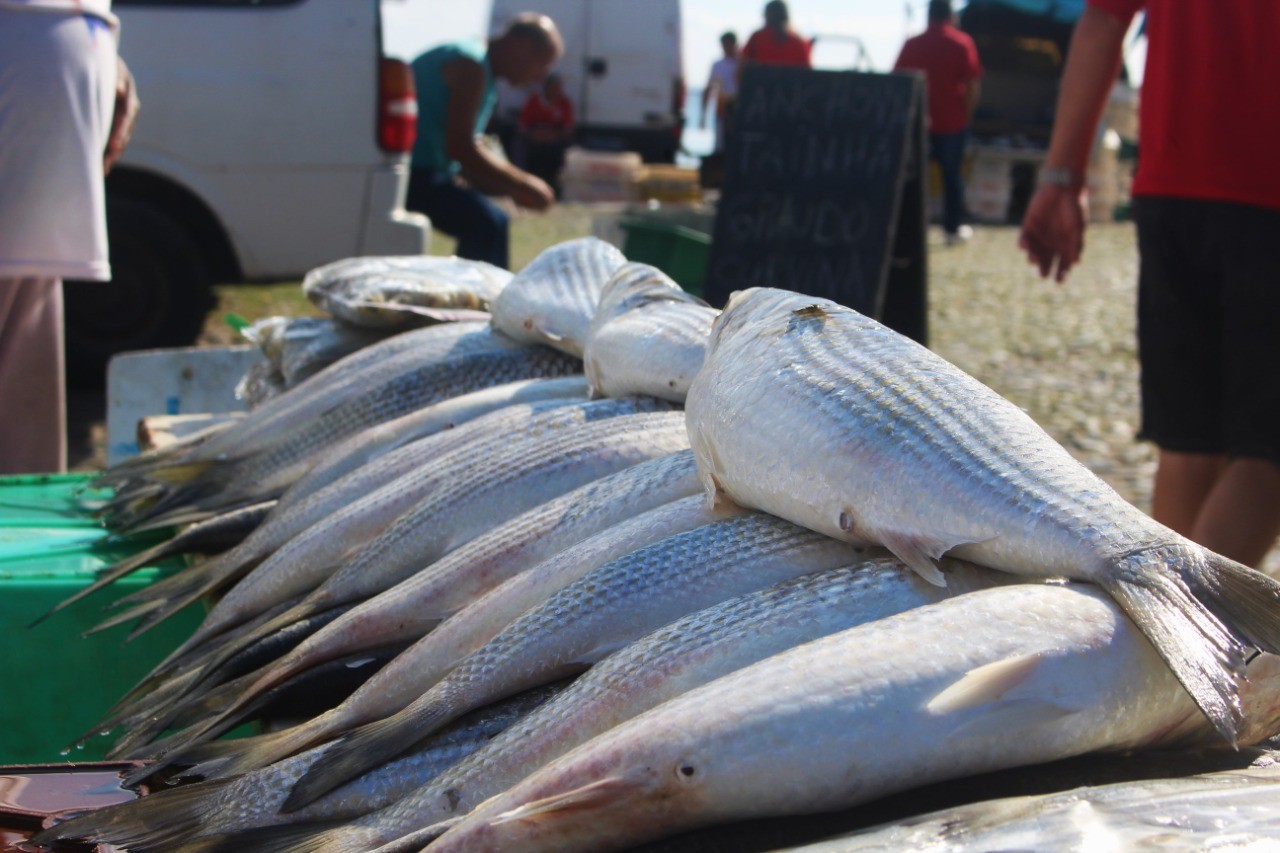 Feira do Peixe começa nesta quarta-feira (13) em Rio Grande