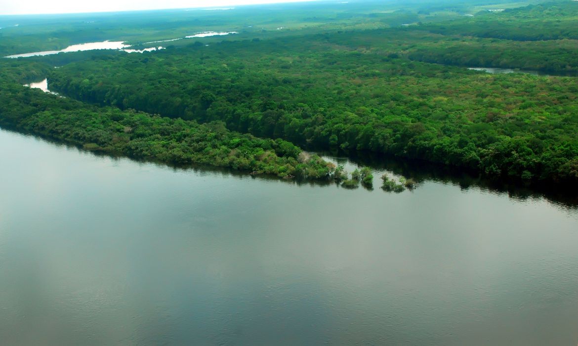 Apenas 7% dos rios da Mata Atlântica apresentam água de boa qualidade, indica levantamento