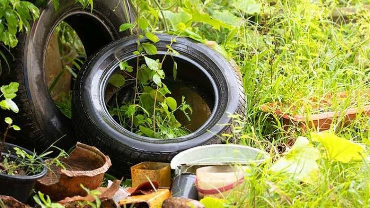 Vigilância de Rio Grande já identificou 16 focos de mosquito da Dengue, Zyka e Chikunhunya