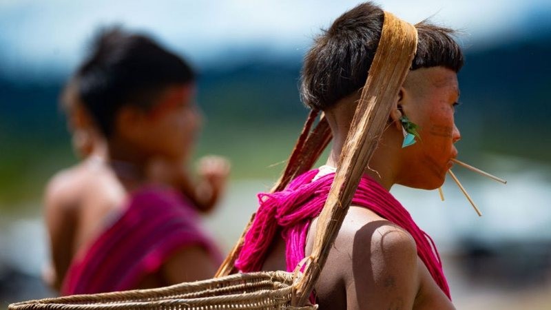 Após denunciar estupro de menina de 12 anos, aldeia Yanomami é incendiada e 25 pessoas desaparecem