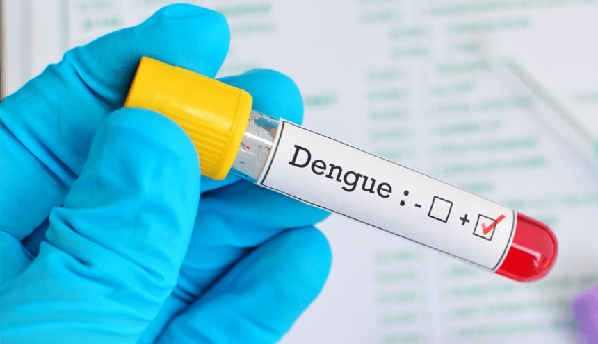 Rio Grande tem oito casos suspeitos de dengue 