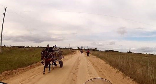 Homem morre após ser pisoteado por cavalo na Ilha da Torotama, em Rio Grande