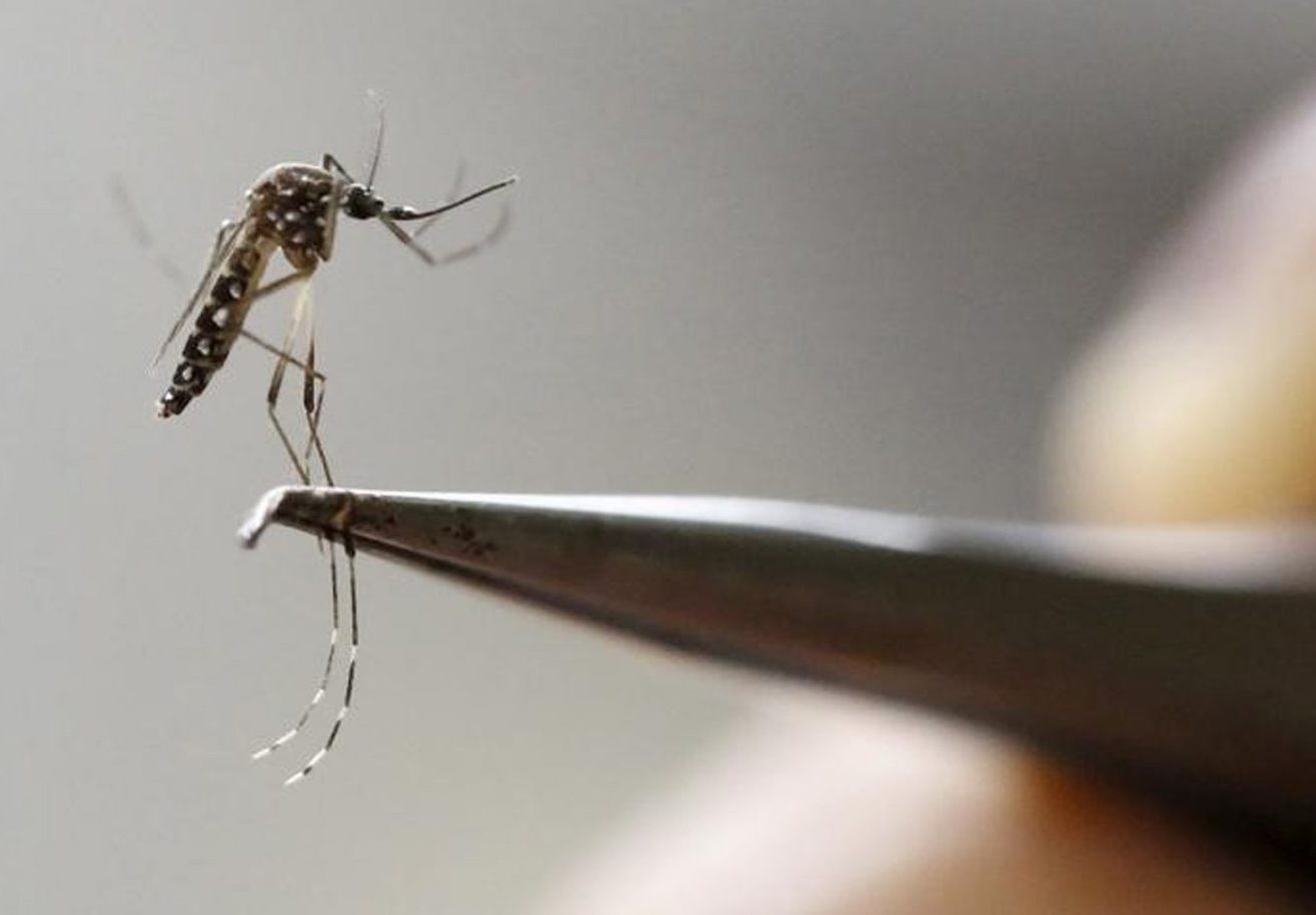 RS chega a marca de 56 óbitos por dengue neste ano