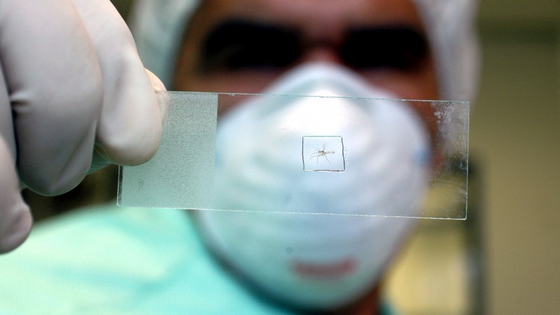 Rio Grande tem 14 casos confirmados de dengue e no RS 38 pessoas já morreram pela doença