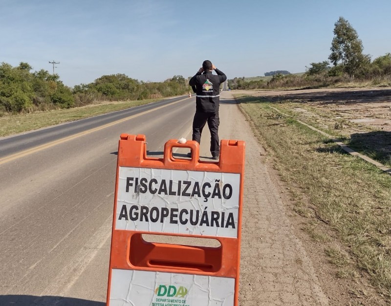 Vigilância ativa e investigação de notificações sustentam o primeiro ano do novo status da aftosa no RS