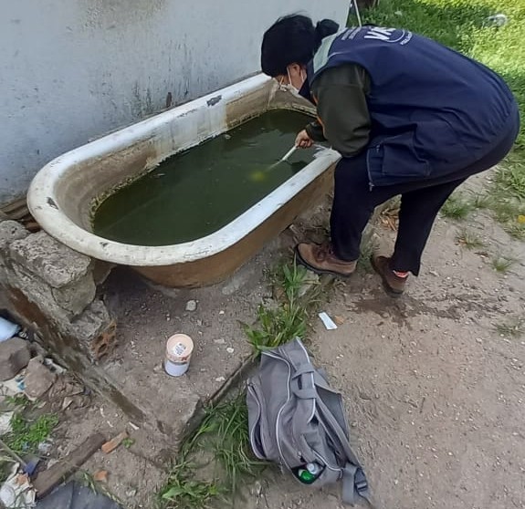 Rio Grande tem 19 casos confirmados de dengue 