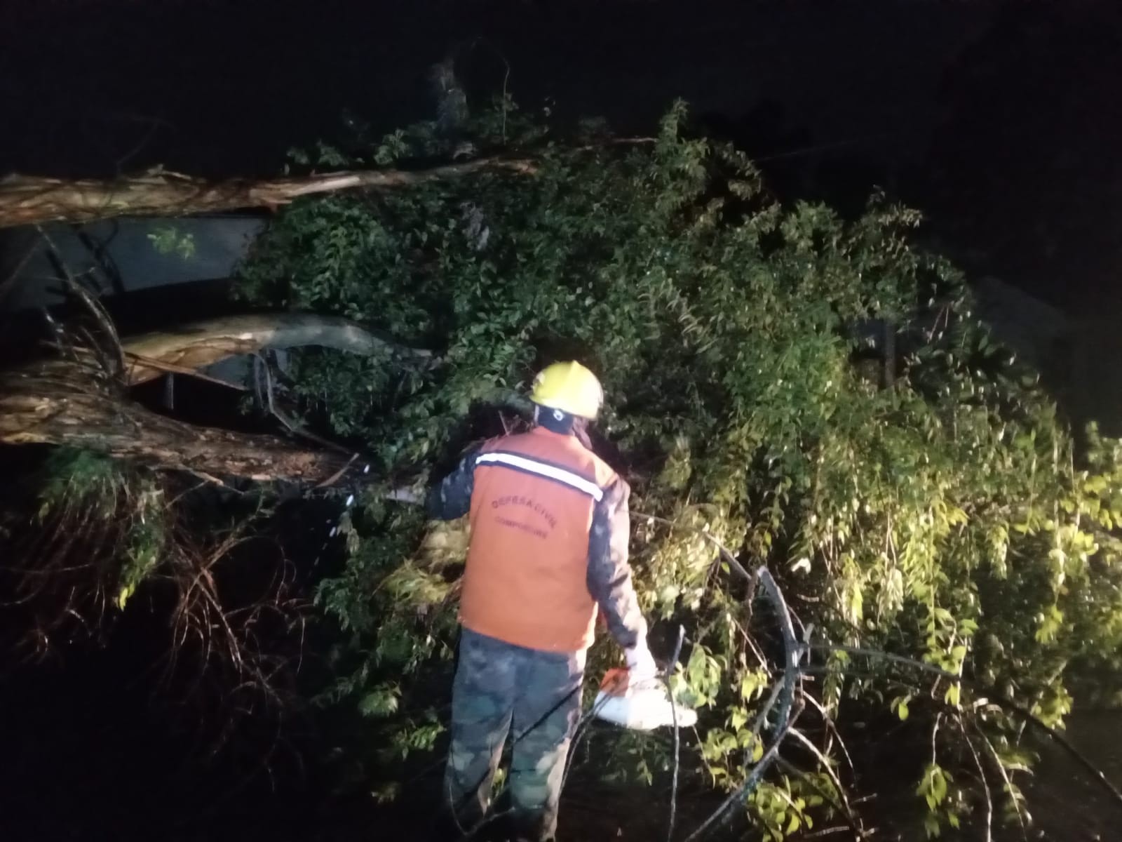 Confira as principais ocorrências causadas pelo temporal de segunda-feira (11)