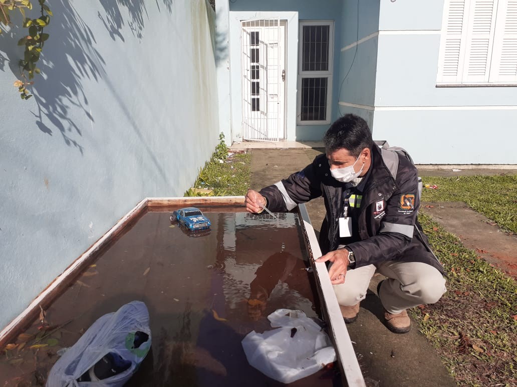 Rio Grande segue com 74 focos do mosquito Aedes aegypti