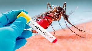 Rio Grande do Sul chega a 65 mortes por Dengue
