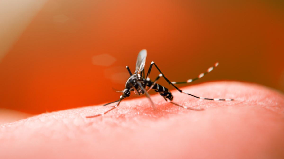 RS chega a marca de 60 mortes por dengue em 2022