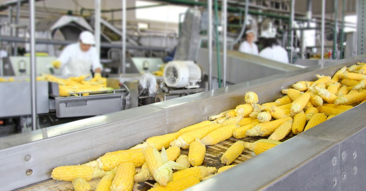Município tem 12 pedidos de novas agroindústrias em análise
