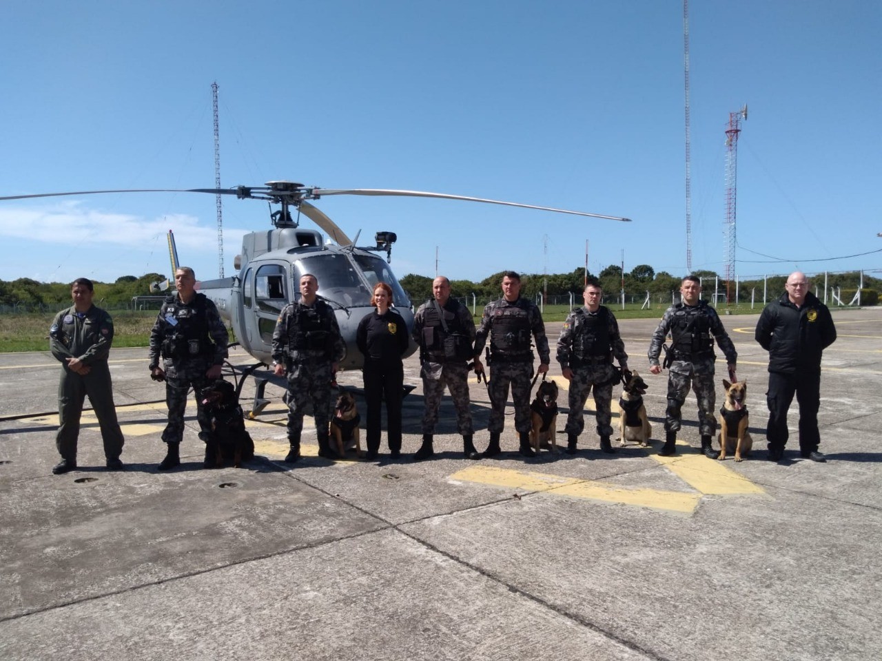 Canil do 6º BPM passa por treinamento em helicóptero