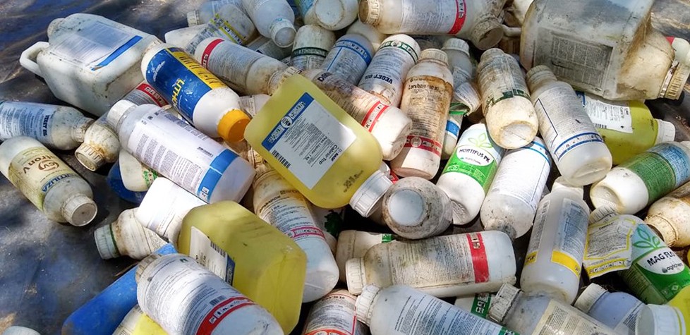 Aproximadamente 3 mil embalagens de agrotóxico foram recolhidas no município do Rio Grande 