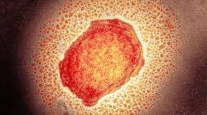 Rio Grande do Sul chega a 250 casos de Monkeypox