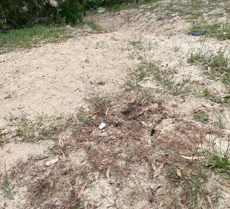 Corpo decapitado é encontrado enterrado em campo de São José do Norte