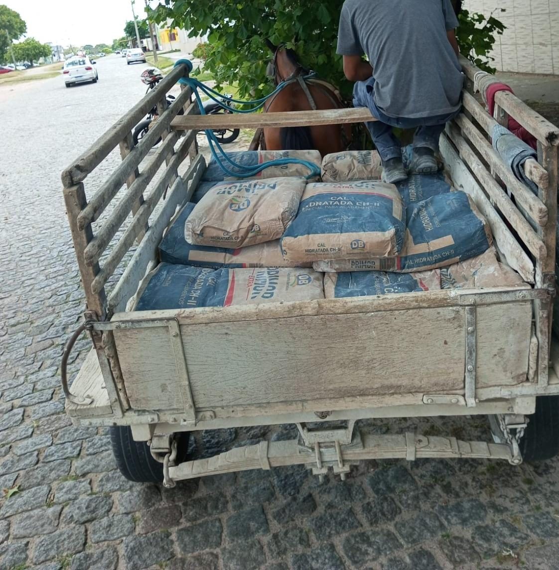 Empresa e condutor de carroça são notificados após cavalo ser apreendido carregando 400 kg de cimento 