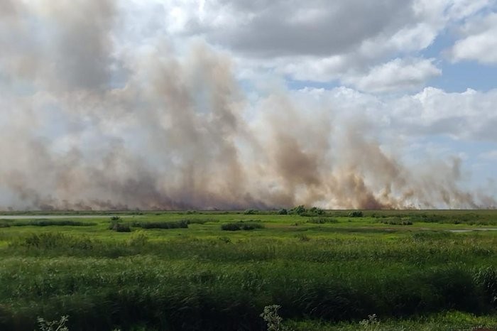 Incêndio na Estação Ecológica do Taim já atingiu cerca de 500 hectares 