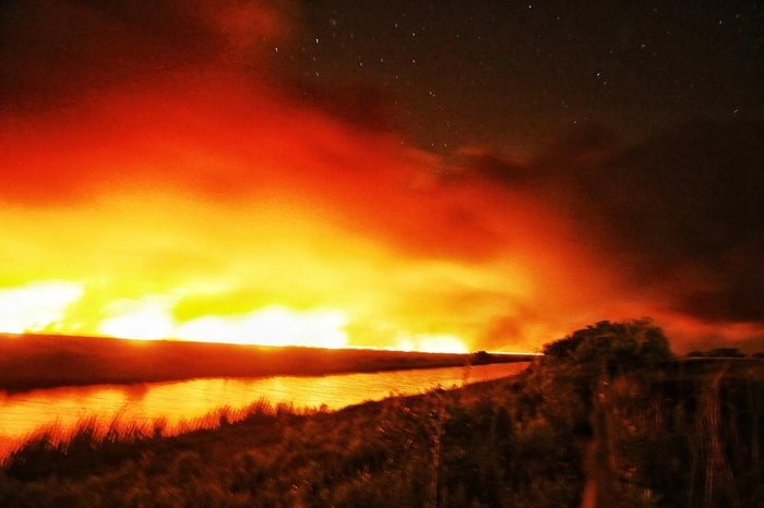 Mais de 2,5 mil hectares foram atingidos pelas chamas na Estação Ecológica do Taim