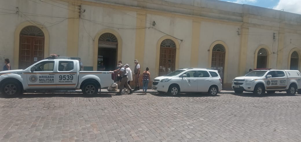 VÍDEO: Vigilância Sanitária interdita peixaria que armazenava frutos do mar irregularmente no Mercado Público 