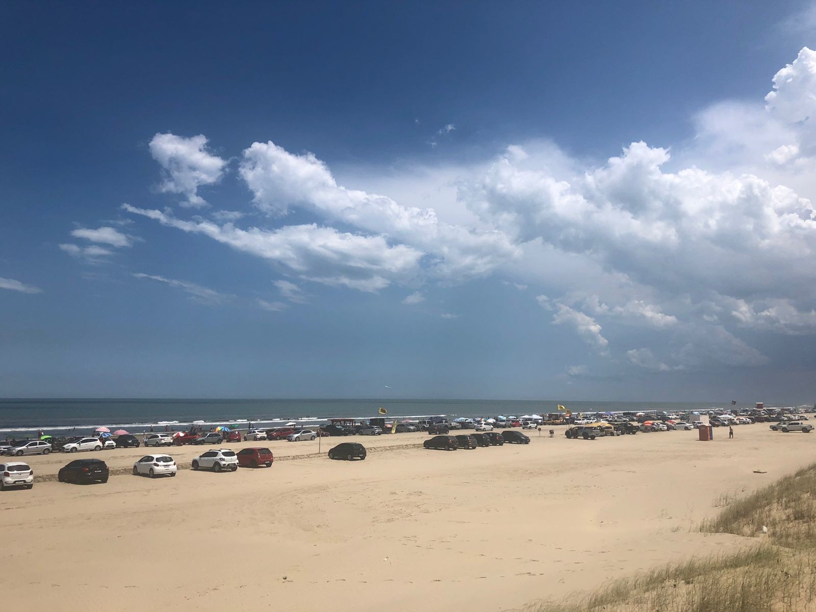 Todas praias da região estão próprias para banho 
