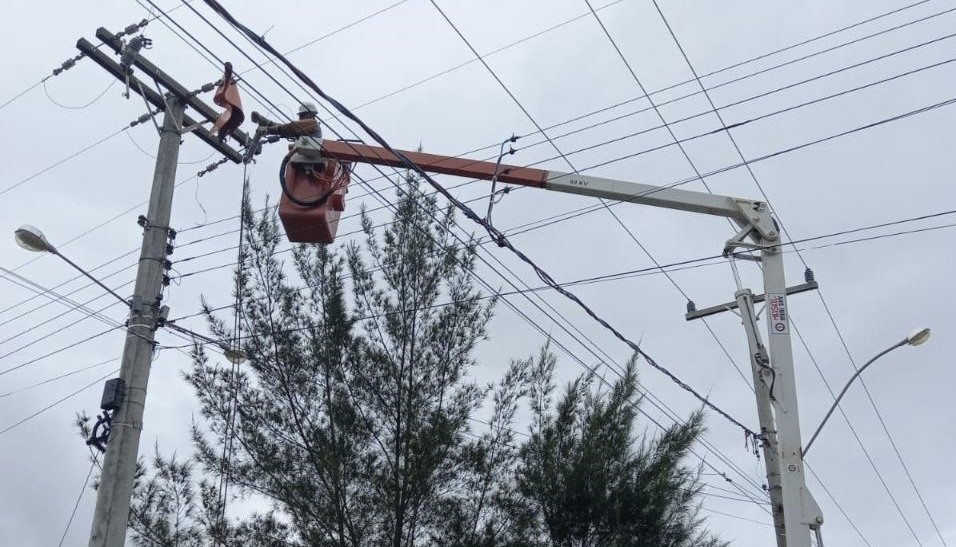 Moradores do Cassino ficam sem energia elétrica após árvore cair em fiação