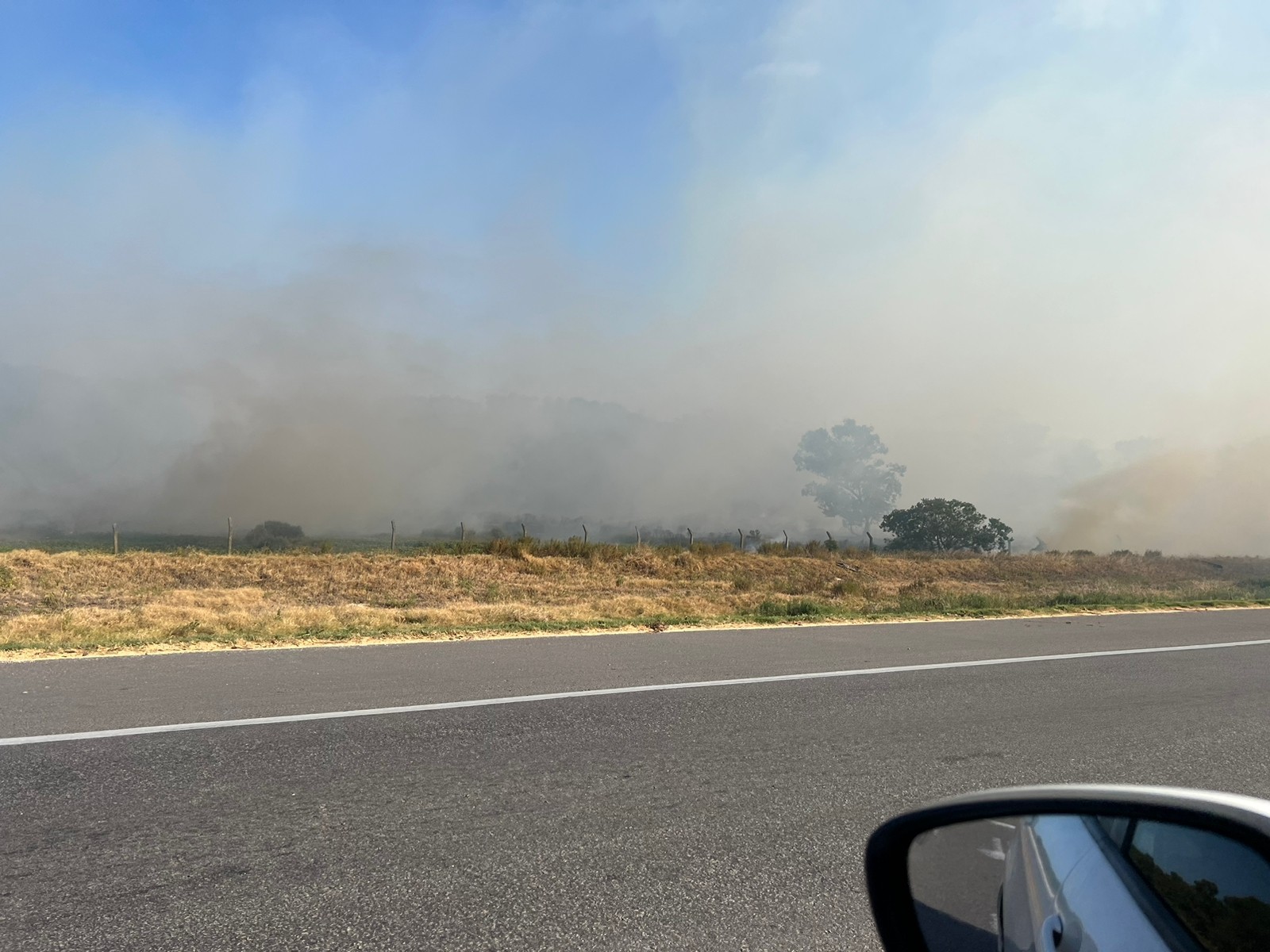 Defesa Civil reforça cuidados para evitar incêndios em vegetações 