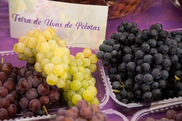 Pelotas define data de abertura da 13ª Colheita da Uva 
