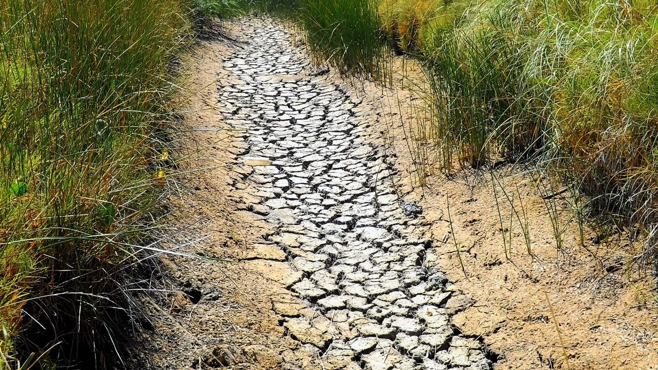 Rio Grande registra prejuízos de quase R$ 45 milhões com a estiagem