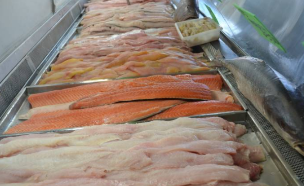 Pelotas divulga data da 10ª Feira Municipal do Peixe 