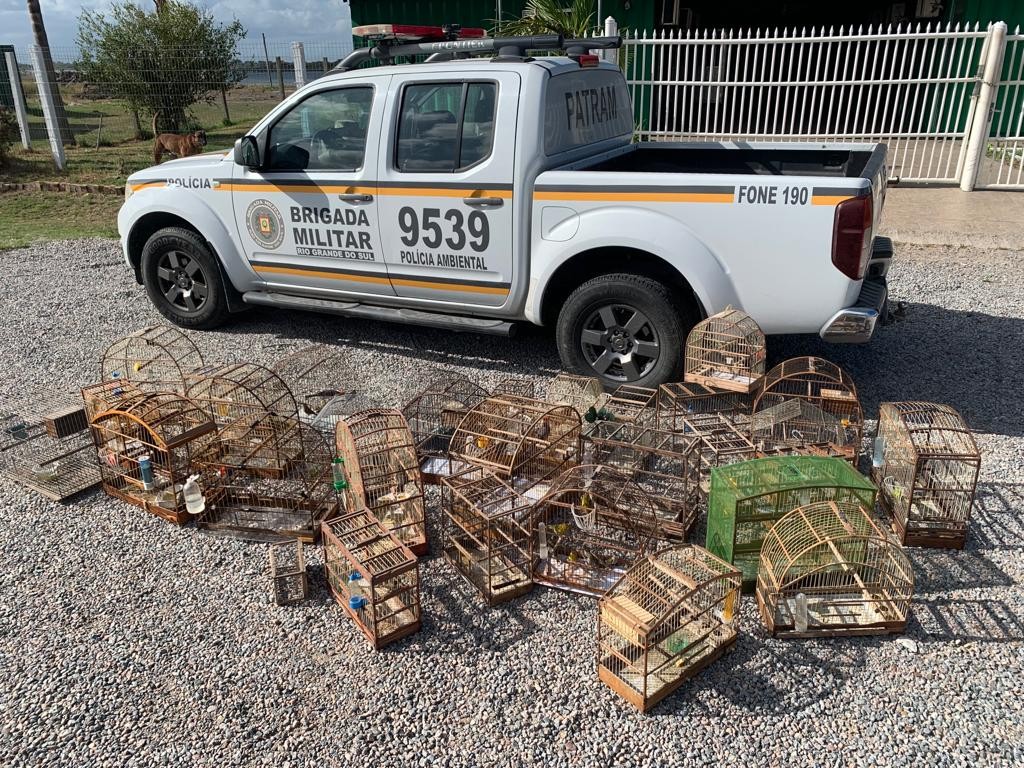 Polícia Ambiental apreende mais de 30 pássaros silvestres em Rio Grande