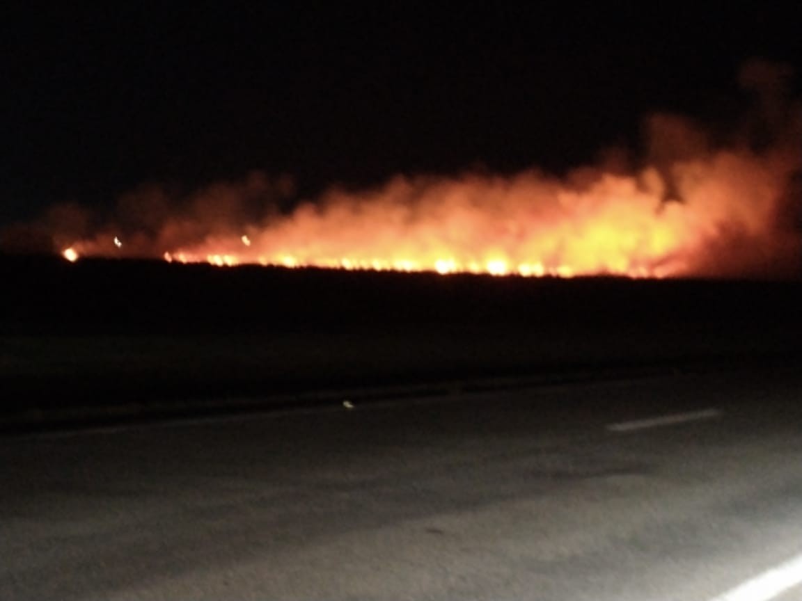 Incêndio atinge BR-392, em Rio Grande