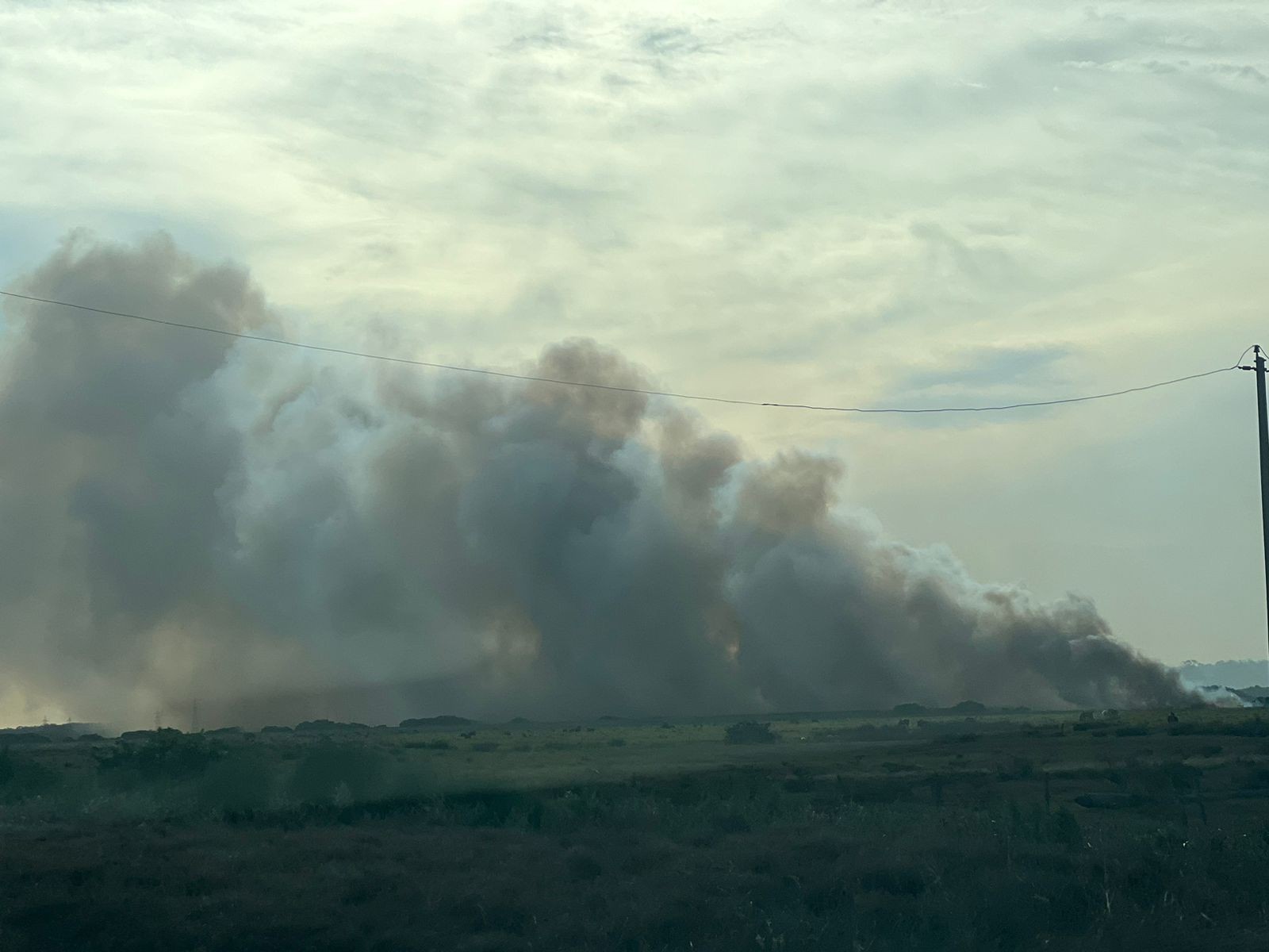 Novo incêndio é registrado em vegetação na BR-392, em Rio Grande