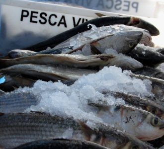 Prefeitura Municipal do Rio Grande sancionou a lei que regulamenta o comércio ambulante de pescados
