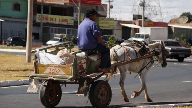 Prefeitura quer adiar prazo que proíbe veículos de tração animal em Rio Grande