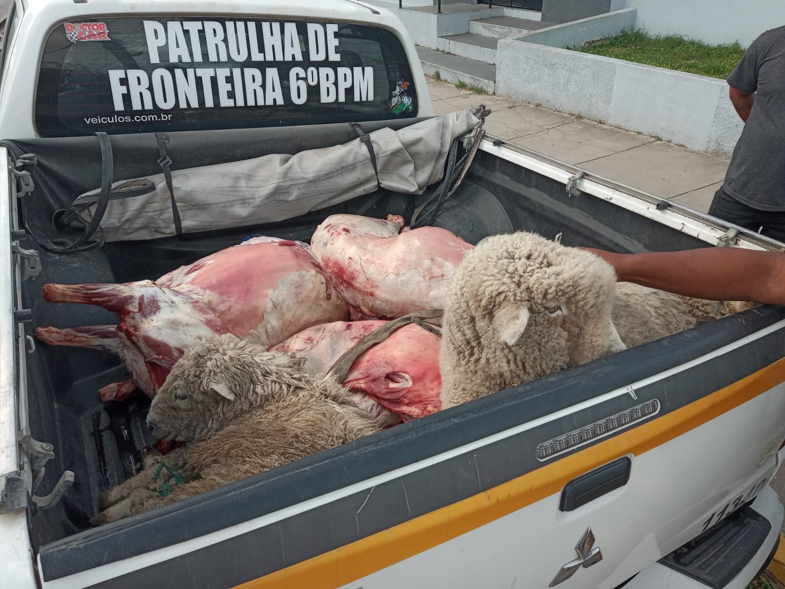 6º BPM prende homens em Santa Vitória do Palmar por furto abigeato
