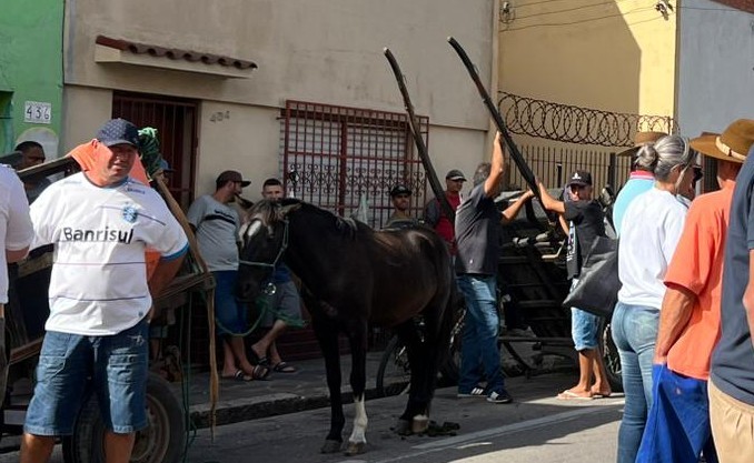 Cadastramento social para carroceiros começará na próxima segunda-feira (17)