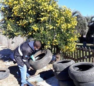 Agentes da Vigilância Ambiental visitam residências a procura do mosquito da Dengue
