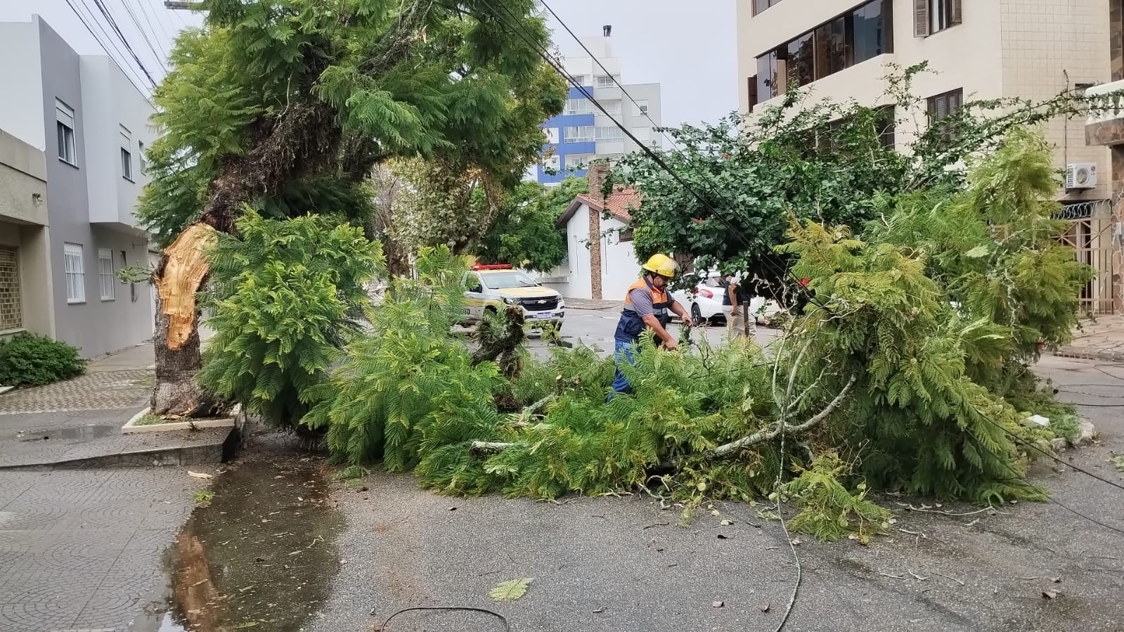 Fotos: destelhamento, queda de árvores e alagamentos foram as principais ocorrências registradas por causa da chuva  