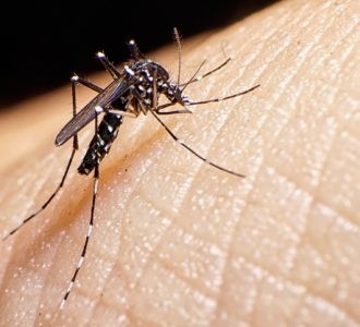 Vigilância Ambiental de Rio Grande inicia mais uma ação de combate ao mosquito da Dengue