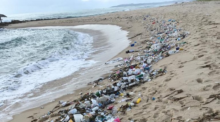 Pesque Lixo: Grupo Oceano promove mutirão de limpeza na Ilha da Pólvora no sábado (24)