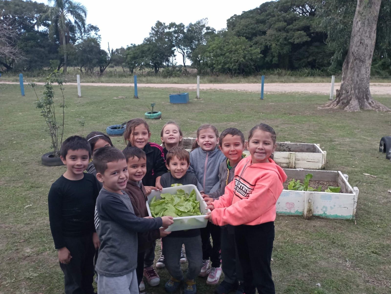  Projeto "Plantando Sonhos, Colhendo Frutos" promove educação ambiental e alimentação saudável nas escolas do Rio Grande