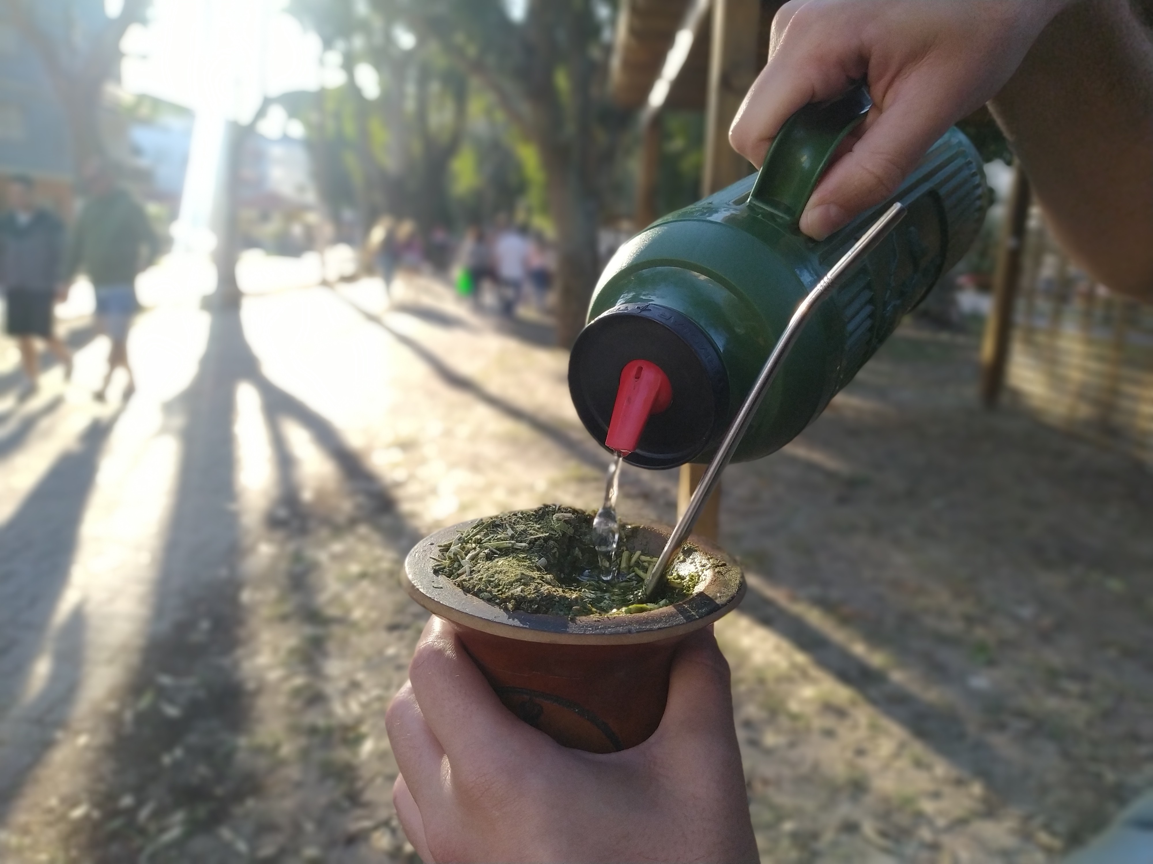 Estado oficializará erva-mate como patrimônio cultural imaterial do Rio Grande do Sul